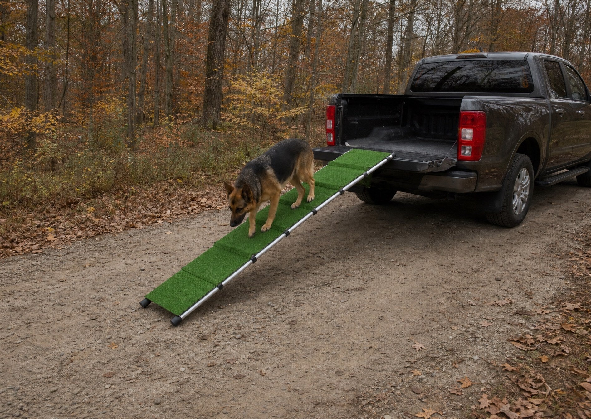 Hund läuft über die PAWVIA Rampe in einen SUV