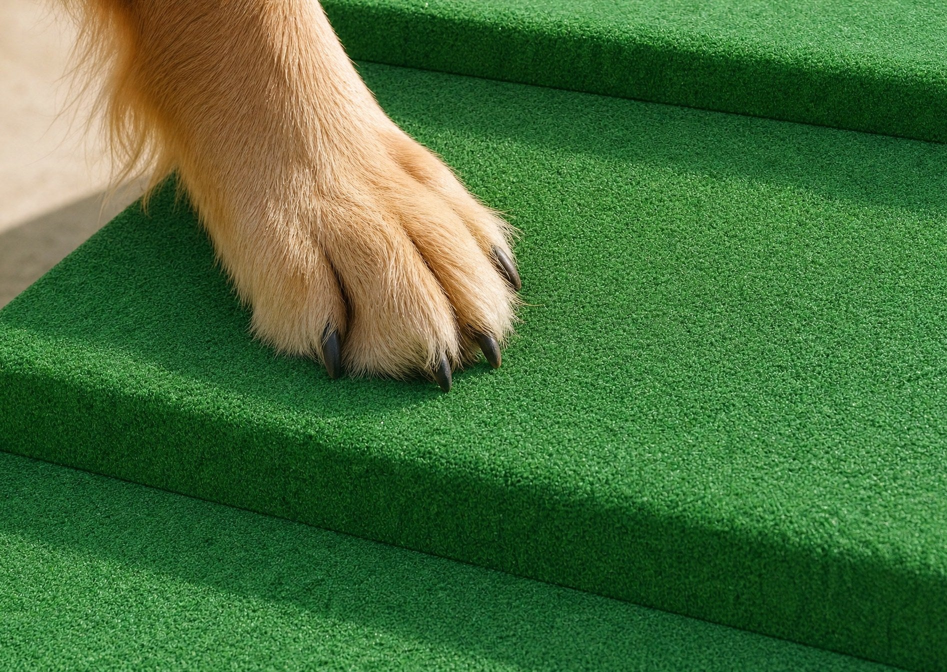 Telescopic rail with artificial turf step